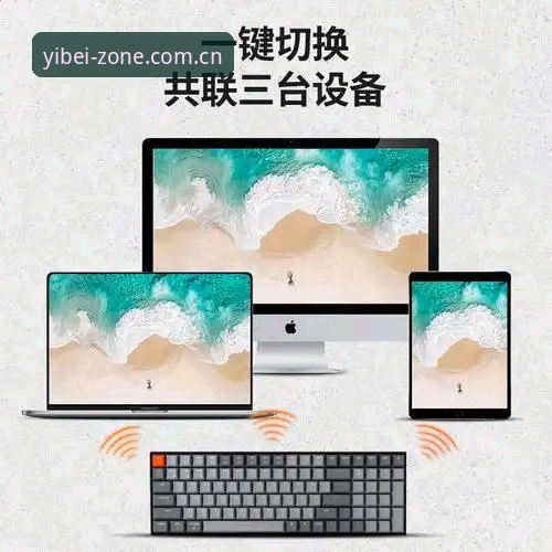 易倍体育服务全面解析：从入口导航到市场定位的深度分析